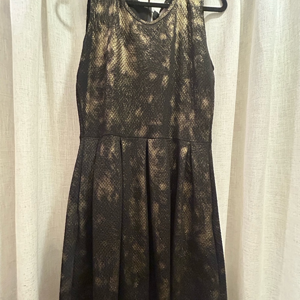 LuLaRoe Black and Gold Amelia Tailored Dress